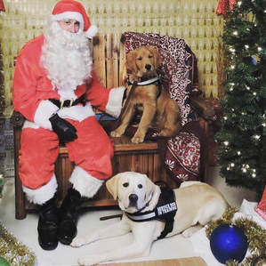 Service dogs Ryder and Sunny pose with Santa in 2017