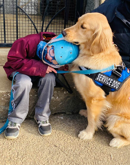 Service Dog Nina gives her child a hug by laying her chin over his head