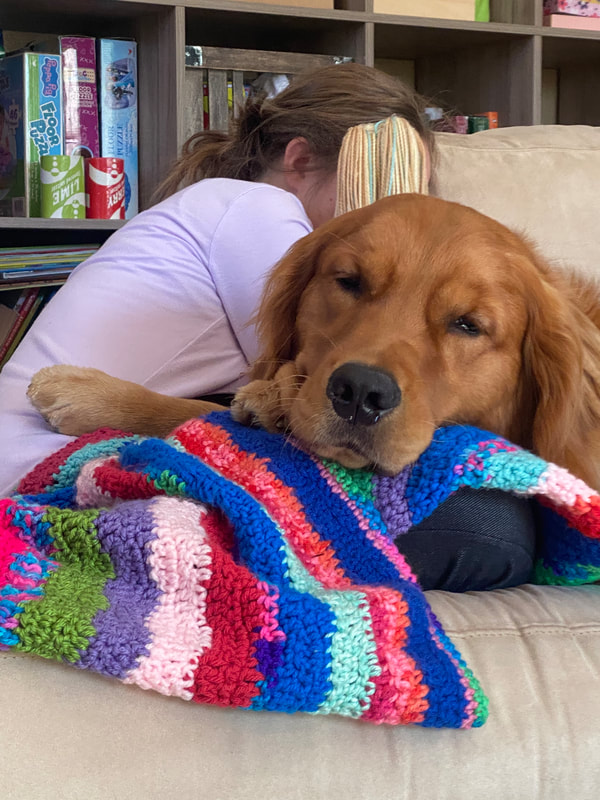 Autism service dog Zeus lays on his child's lap for deep pressure therapy