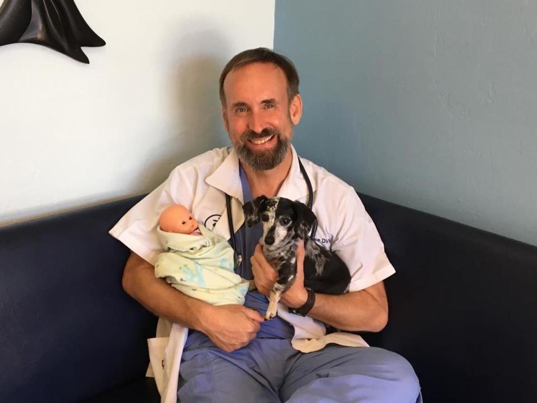Veterinarian holds a baby doll and a small black dog