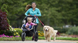New mom running with baby jogger and golden retriever 