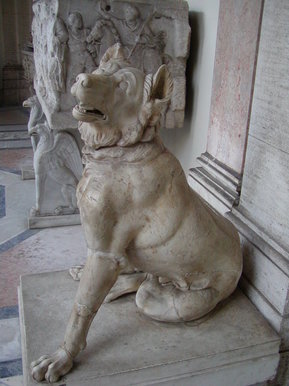 Roman Molossur Dog statue in Rome Italy