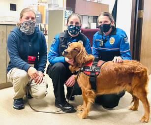 Therapy Dog Summer at Hendersonville NC Police Department