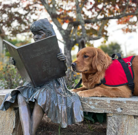 Service dog summer posed behind a girl reading statue looking at the book