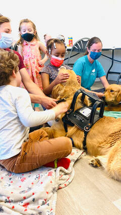 Service dog in training visits school